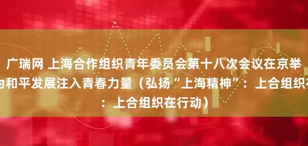 广瑞网 上海合作组织青年委员会第十八次会议在京举行—— 为和平发展注入青春力量（弘扬“上海精神”：上合组织在行动）