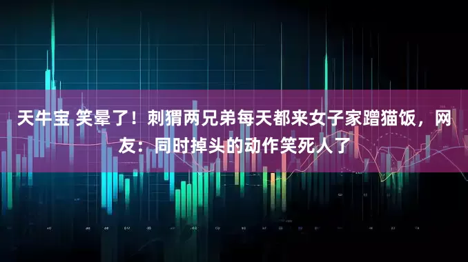 天牛宝 笑晕了！刺猬两兄弟每天都来女子家蹭猫饭，网友：同时掉头的动作笑死人了