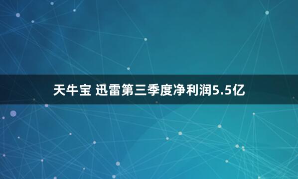 天牛宝 迅雷第三季度净利润5.5亿