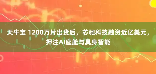天牛宝 1200万片出货后，芯驰科技融资近亿美元，押注AI座舱与具身智能